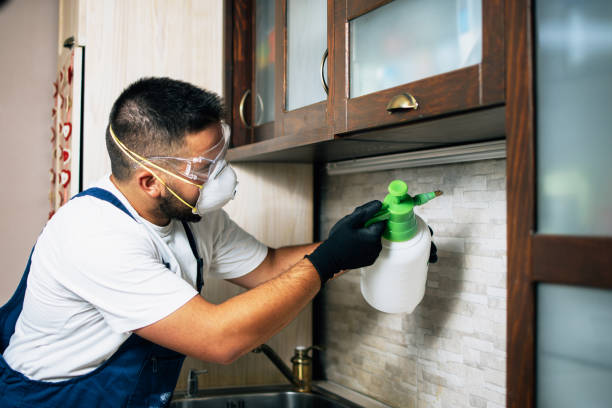 Best Residential Pest Control  in Pequot Lakes, MN