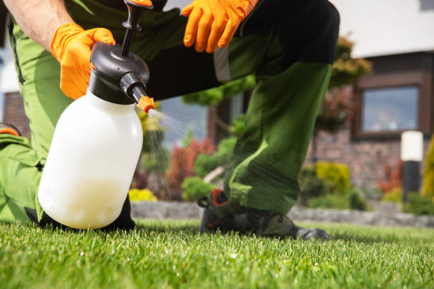 Insect Control in Pequot Lakes, MN