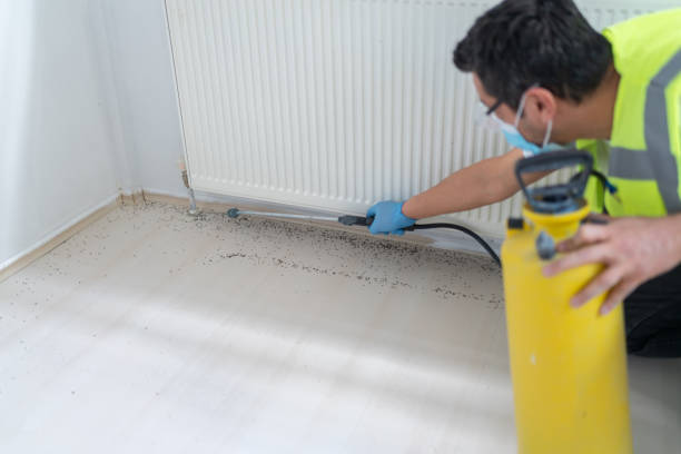 Professional Pest Control in Pequot Lakes, MN